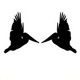 thehl